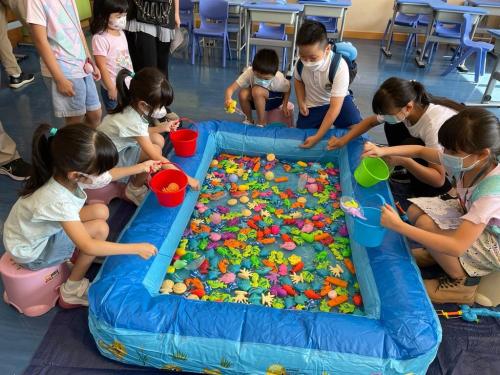 315594837 8615007361857845 2205625660315869872 n