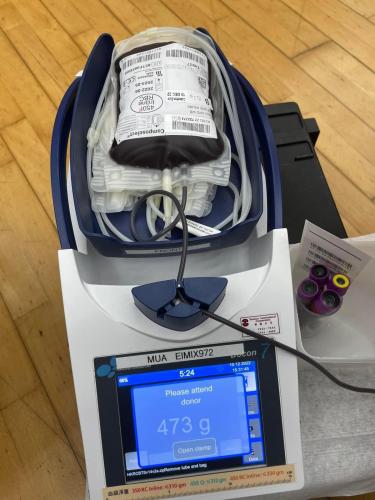 329133121 865752237990884 4642255968071937512 n